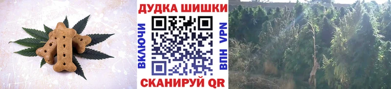 Еда ТГК конопля  как найти закладки  Дубна 