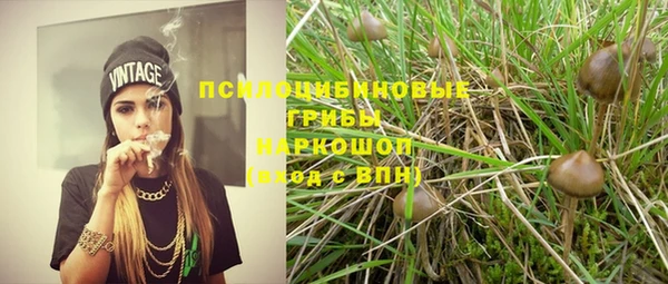 марки nbome Новый Уренгой
