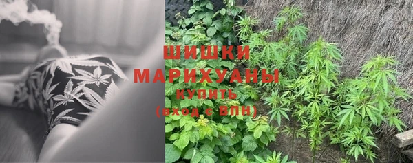 скорость Долгопрудный