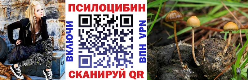 hydra маркетплейс  Дубна  Псилоцибиновые грибы GOLDEN TEACHER 