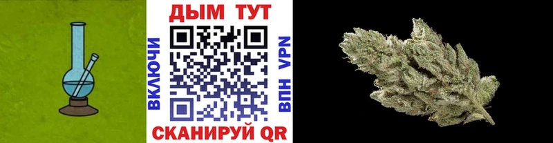 мега ONION  Дубна  Бошки марихуана White Widow 